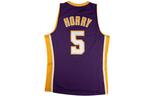 Майка баскетбольная Mitchell & Ness Robert Horry NBA Los Angeles Lakers 1999/2000 Swingman Tank Top Mitchell Ness - фото 3