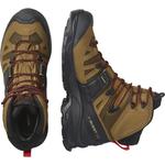 Трекинговые ботинки Quest 4 GTX Salomon, мультиколор - фото 2
