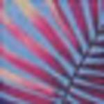 Мини платье LASCANA, Mixed colors - фото 5