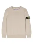 Джемпер с логотипом Compass Stone Island Junior, бежевый - фото