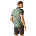 Жилет Regatta Lankin VI Vest, зеленый - фото 2