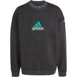 Толстовка eqt wash Adidas, черный - фото 3