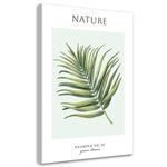 Картина арт-принт KUNSTLOFT Green Leaves, зеленый - фото