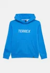 Худи унисекс с логотипом Adidas Terrex, Ray Blue - фото