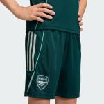 Adidas Performance Шорты для тренировок Regular 'FC Arsenal Tiro 25 Competition' в темно-зеленом цвете - фото 5