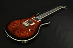 PRS SE Custom 24 Черное Золото Солнечный Взрыв 689 - фото 2