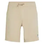 Шорты O´neill O´Riginals Walk, бежевый - фото