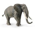 Ollecta Африканский слон Collecta - фото