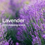 Набор Disney Lavendar: шампунь и гель для душа + лосьон The Honest Company - фото 4