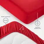 Простыня Blumtal, красный - фото 2