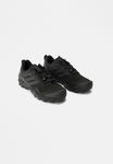 Кроссовки Adidas Terrex SKYCHASER , Core Black/Core Black/Black - фото