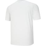 Футболка мужская RAPIDO, синий - фото 5