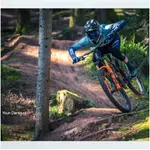 Педали Ht Components T2 Titanium Limited Edition, золотой - фото 6