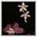 Трусы Nuance, черный - фото 3