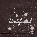 Грузовые штаны унисекс UNDEFEATED, коричневый - фото 8