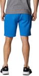 Мужские шорты Columbia Trek, Bright Indigo Heather/White Vertical Logo - фото 2