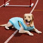 Одежда для собак и дождевики Reebok, черный - фото 8