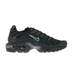 Кроссовки Nike Air Max Plus GS 'Black Pure Platinum', черный - фото