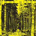 Виниловая пластинка Elms, Ian: Good Night - фото