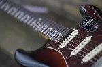 Fender American Professional II Stratocaster - 3-цветный санберст - фото 11