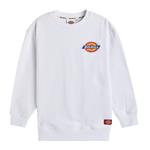 Детская толстовка Dickies, черная - фото