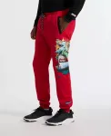 Мужские брюки Spray Town Down Jogger Ecko Unltd, красный - фото 2