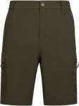 Шорты Dalham Adventure зеленого цвета Trespass - фото