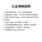 Женская модель The Style Is Random Feiyue - фото 3