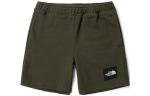 Дети Шорты The North Face, зеленый - фото