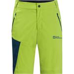Шорты glastal shorts m Jack Wolfskin, зеленый - фото