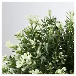 Искусственное растение, зеленое, 9 см, FEJKA IKEA - фото 5