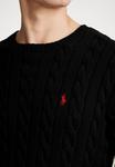 Свитер Polo Ralph Lauren DRIVER LONG SLEEVE, цвет Black - фото 5