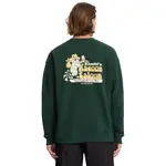 Толстовка Volcom Racoon, зеленый - фото 2