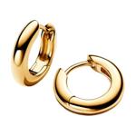 Pandora Позолоченные серьги Women's Gold - фото 4