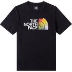 Футболка мужская черная The North Face, черный - фото