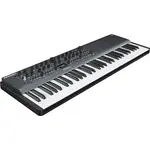 Полифонический вавтеблейтовый синтезатор Modal Electronics ARGON8X (61 клавиша) Modal-electronics - фото