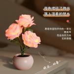 Атмосферные огни The Star God Project - фото 10