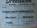 Breedlove Oregon Концерт Saddleback CE 2024 - Saddleback - фото 4