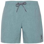 PROTEST Плавки шорты M DAVEY BEACHSHORT - фото 5