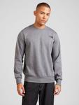 Толстовка THE NORTH FACE SIMPLE DOME, mottled grey - фото 2