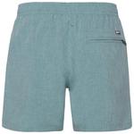 PROTEST Плавки шорты M DAVEY BEACHSHORT - фото 6