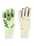 Спортивные перчатки ADIDAS PERFORMANCE Predator GL Pro Promo, зеленый - фото