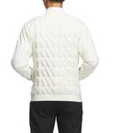 Adidas Мужская одежда для гольфа белая - фото 4