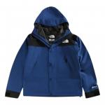 Куртка THE NORTH FACE GTX Mountain Jacket 'Estate Blue TNF Black' - фото