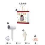 Фен FLYCO, Fh6290 Premium Birthday Set - фото 7