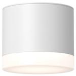 Потолочный светильник Maytoni Decorative Lighting Pauline, белый - фото