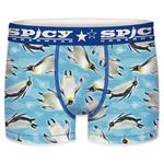 Боксеры Spicy T680-3, синий - фото