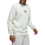 Худи adidas M Opti G Swt Logo HK6748 - фото 4