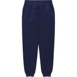 Повседневные брюки Unisex DESCENTE, серые - фото 9