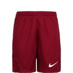 Тренировочные брюки Nike, цвет Cherry Red - фото